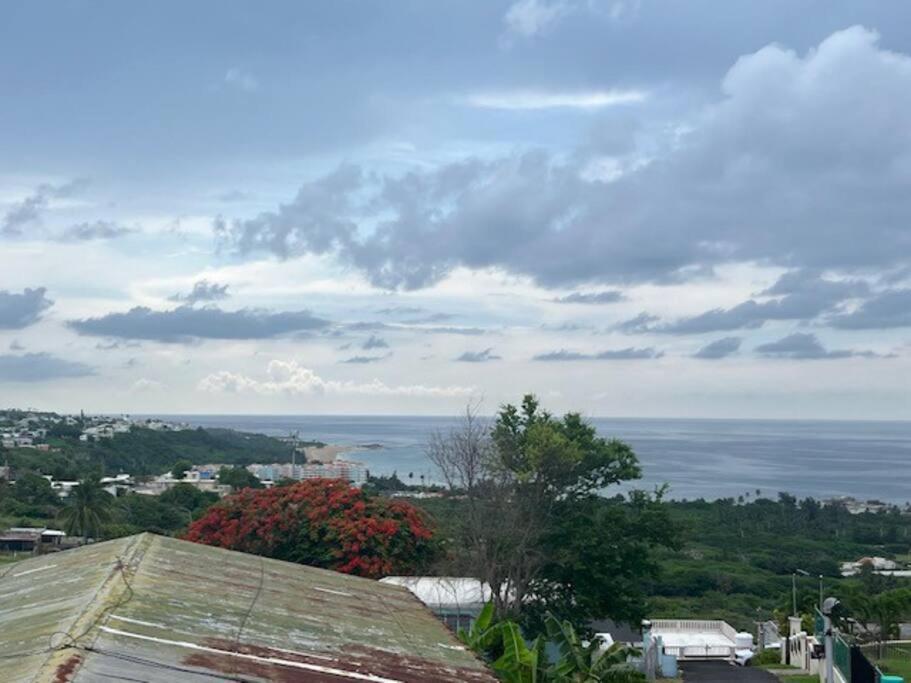 Ocean View Rooftop, Casa Estela Mar, Isabela, Cozy, Boutique Villa Exterior photo